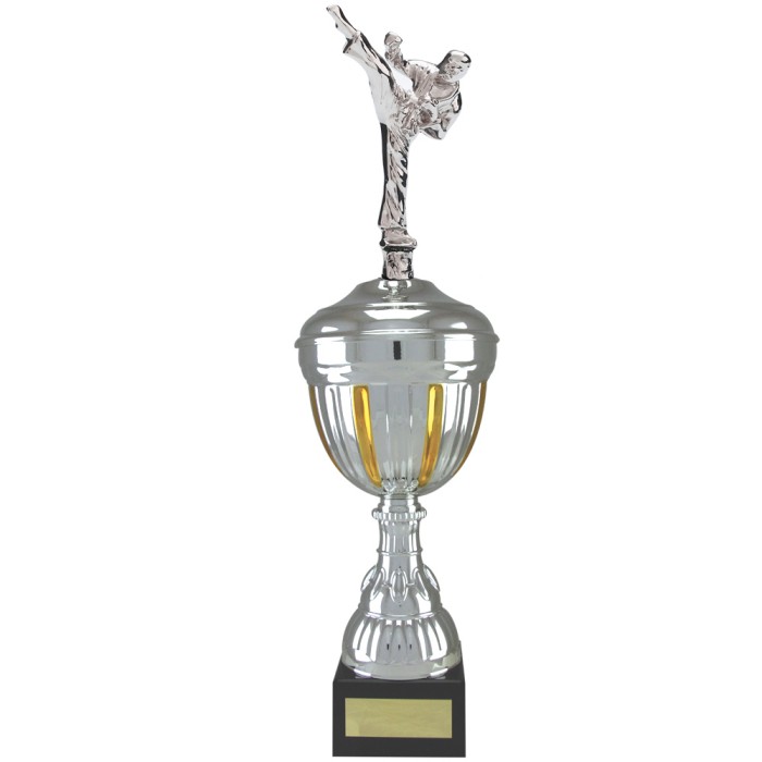 MALE KICKING FIGURE METAL TROPHY - AVAILABLE IN 4 SIZES MALE KICKING FIGURE METAL TROPHY - AVAILABLE IN 4 SIZES